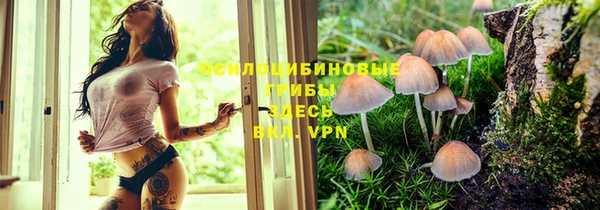 мяу мяу мука Алзамай