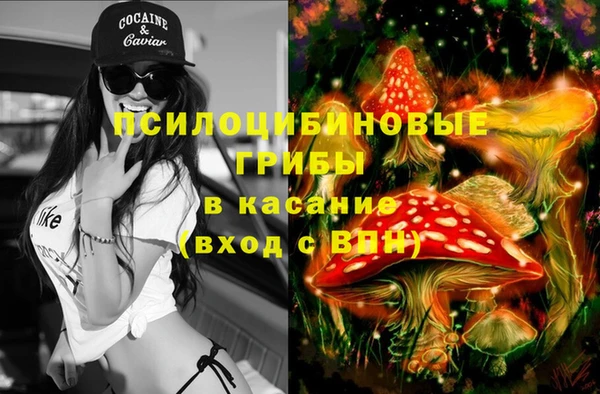 амф Абаза