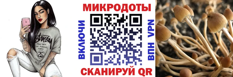 Псилоцибиновые грибы GOLDEN TEACHER  OMG зеркало  Грозный  дарнет шоп 