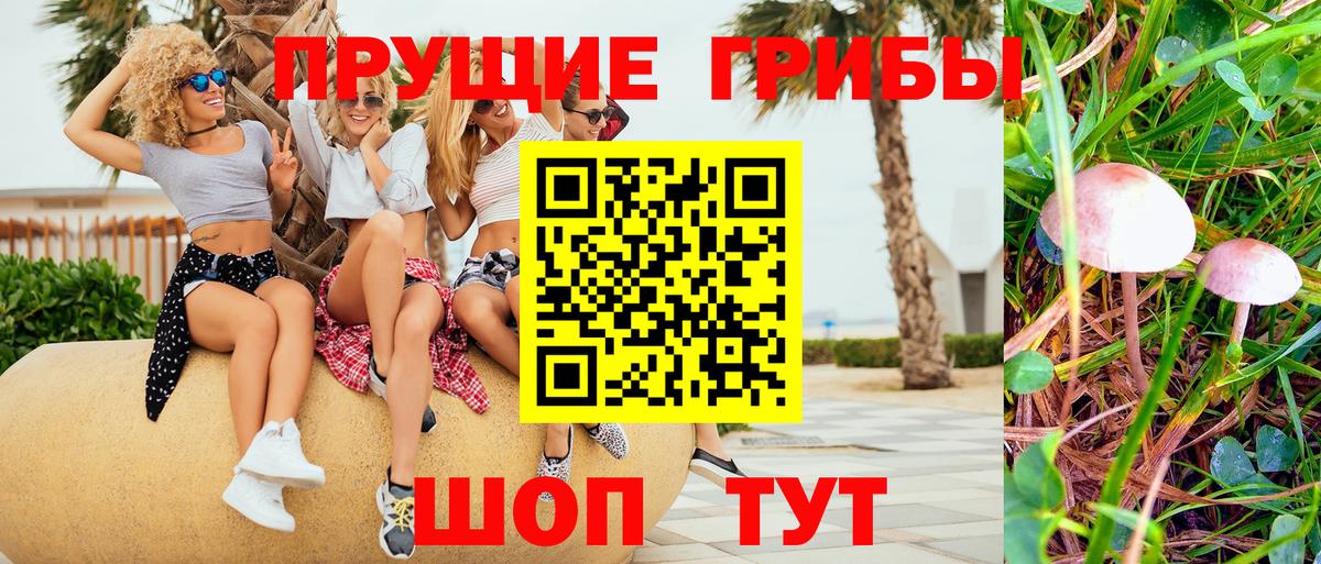 Галлюциногенные грибы MAGIC MUSHROOMS  Вход с VPN  Грозный 