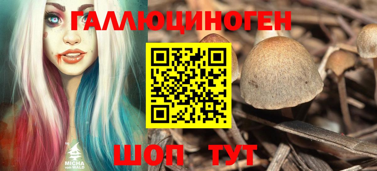 Псилоцибиновые грибы ЛСД Грозный