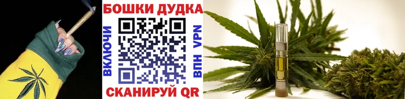 Каннабис OG Kush Грозный